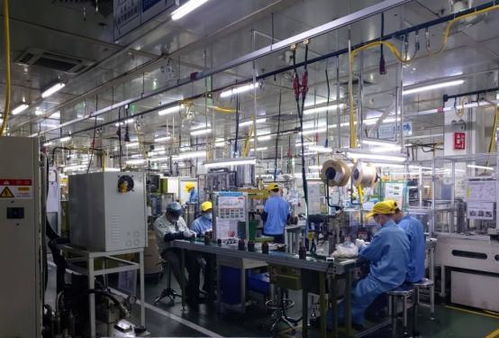 私家车、闲置房与“低收入人群”标签 理解当下经济现象的多元视角